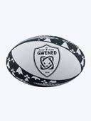 BALLON GILBERT SUPPORTER T5